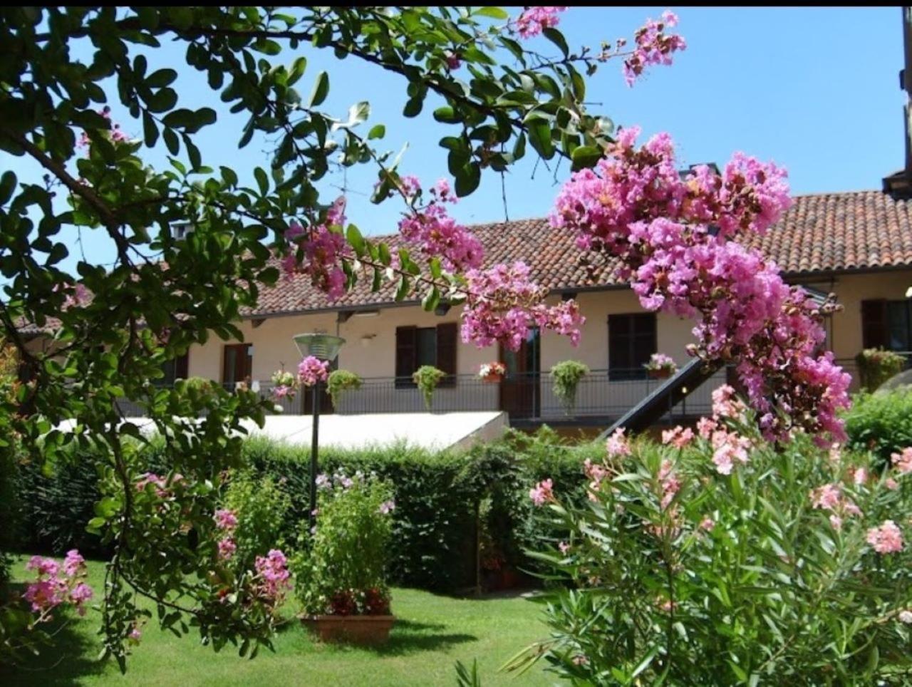 Oryza Guest House Desana Εξωτερικό φωτογραφία